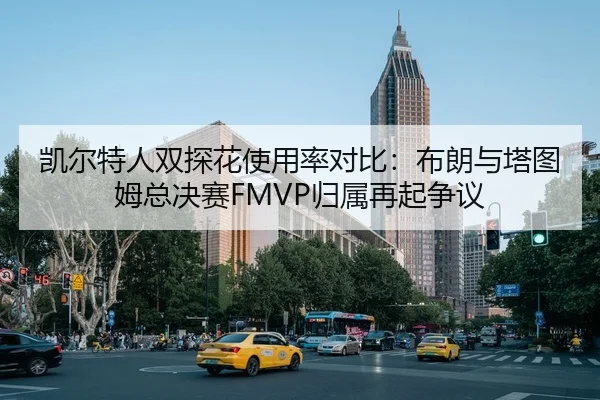 凯尔特人双探花使用率对比：布朗与塔图姆总决赛FMVP归属再起争议